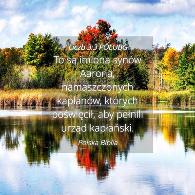 Picture 04 - Liczb 3:3 POLUBG - To są imiona synów Aarona, namaszczonych - Bible Verse Picture