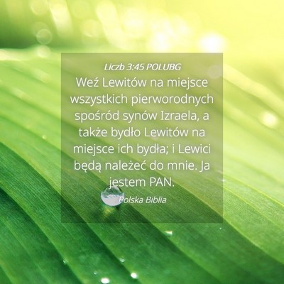Picture 04 - Liczb 3:45 POLUBG - Weź Lewitów na miejsce wszystkich pierworodnych - Bible Verse Picture