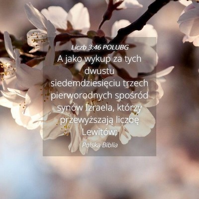 Picture 04 - Liczb 3:46 POLUBG - A jako wykup za tych dwustu siedemdziesięciu - Bible Verse Picture