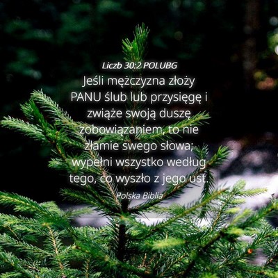 Picture 04 - Liczb 30:2 POLUBG - Jeśli mężczyzna złoży PANU ślub lub - Bible Verse Picture