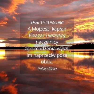 Picture 04 - Liczb 31:13 POLUBG - A Mojżesz, kapłan Eleazar i wszyscy naczelnicy - Bible Verse Picture