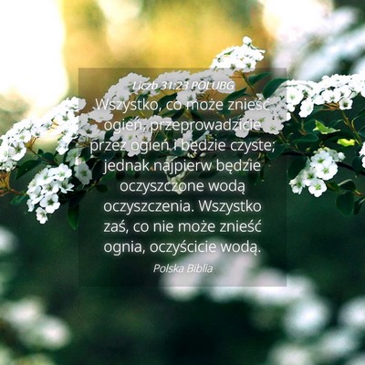 Picture 04 - Liczb 31:23 POLUBG - Wszystko, co może znieść ogień, - Bible Verse Picture