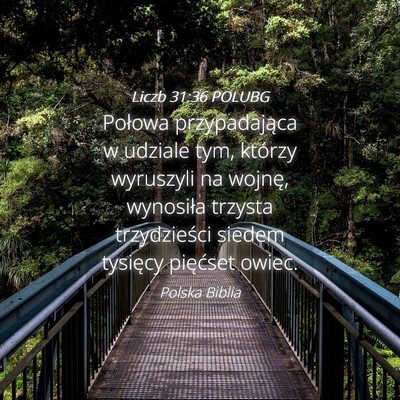 Picture 04 - Liczb 31:36 POLUBG - Połowa przypadająca w udziale tym, którzy - Bible Verse Picture