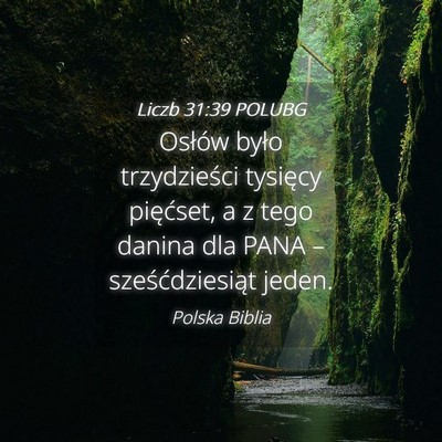 Picture 04 - Liczb 31:39 POLUBG - Osłów było trzydzieści tysięcy pięćset, a - Bible Verse Picture