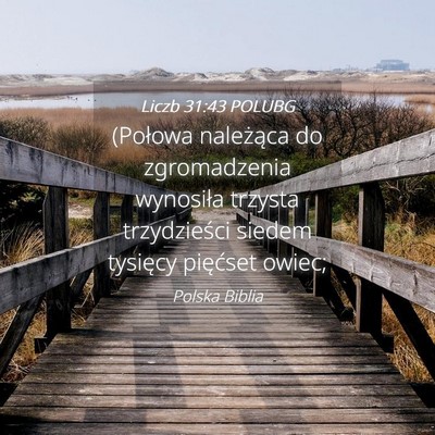 Picture 04 - Liczb 31:43 POLUBG - (Połowa należąca do zgromadzenia wynosiła - Bible Verse Picture