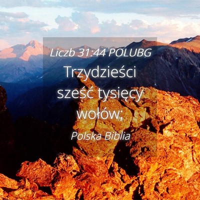 Picture 04 - Liczb 31:44 POLUBG - Trzydzieści sześć tysięcy - Bible Verse Picture