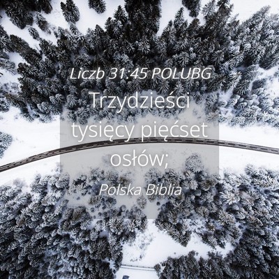 Picture 04 - Liczb 31:45 POLUBG - Trzydzieści tysięcy pięćset - Bible Verse Picture