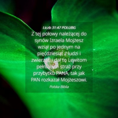 Picture 04 - Liczb 31:47 POLUBG - Z tej połowy należącej do synów Izraela - Bible Verse Picture