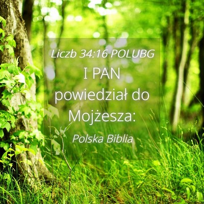 Picture 04 - Liczb 34:16 POLUBG - I PAN powiedział do - Bible Verse Picture