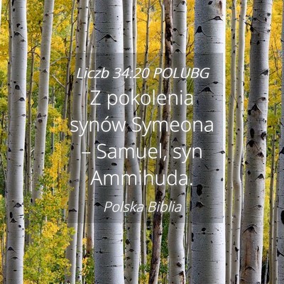 Picture 04 - Liczb 34:20 POLUBG - Z pokolenia synów Symeona – Samuel, syn - Bible Verse Picture
