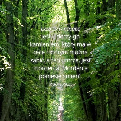 Picture 04 - Liczb 35:17 POLUBG - Jeśli uderzy go kamieniem, który ma w ręce i - Bible Verse Picture