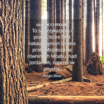 Picture 04 - Liczb 36:13 POLUBG - To są przykazania i prawa, które PAN nakazał - Bible Verse Picture