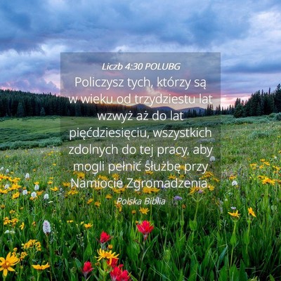 Picture 04 - Liczb 4:30 POLUBG - Policzysz tych, którzy są w wieku od - Bible Verse Picture