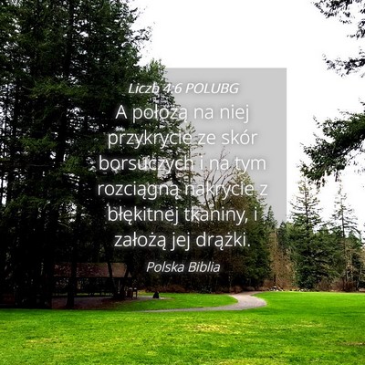 Picture 04 - Liczb 4:6 POLUBG - A położą na niej przykrycie ze skór - Bible Verse Picture