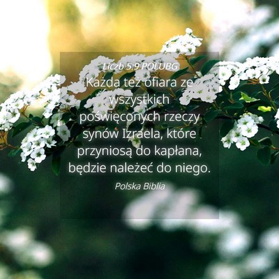 Picture 04 - Liczb 5:9 POLUBG - Każda też ofiara ze wszystkich poświęconych - Bible Verse Picture