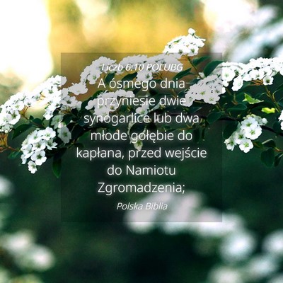Picture 04 - Liczb 6:10 POLUBG - A ósmego dnia przyniesie dwie synogarlice lub - Bible Verse Picture