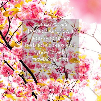 Picture 04 - Liczb 6:23 POLUBG - Powiedz Aaronowi i jego synom: Tak będziecie - Bible Verse Picture