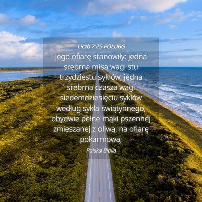 Picture 04 - Liczb 7:25 POLUBG - Jego ofiarę stanowiły: jedna srebrna misa wagi - Bible Verse Picture