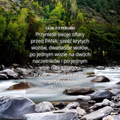 Picture 04 - Liczb 7:3 POLUBG - Przynieśli swoje ofiary przed PANA: sześć - Bible Verse Picture