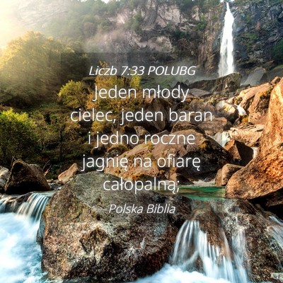 Picture 04 - Liczb 7:33 POLUBG - Jeden młody cielec, jeden baran i jedno roczne - Bible Verse Picture