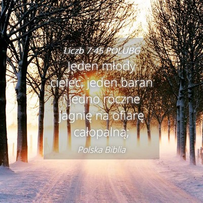 Picture 04 - Liczb 7:45 POLUBG - Jeden młody cielec, jeden baran i jedno roczne - Bible Verse Picture