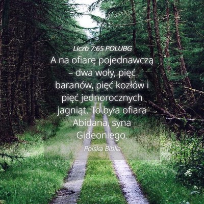 Picture 04 - Liczb 7:65 POLUBG - A na ofiarę pojednawczą – dwa woły, pięć - Bible Verse Picture