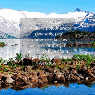 Picture 04 - Liczb 7:77 POLUBG - A na ofiarę pojednawczą – dwa woły, pięć - Bible Verse Picture