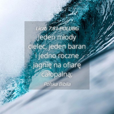 Picture 04 - Liczb 7:81 POLUBG - Jeden młody cielec, jeden baran i jedno roczne - Bible Verse Picture