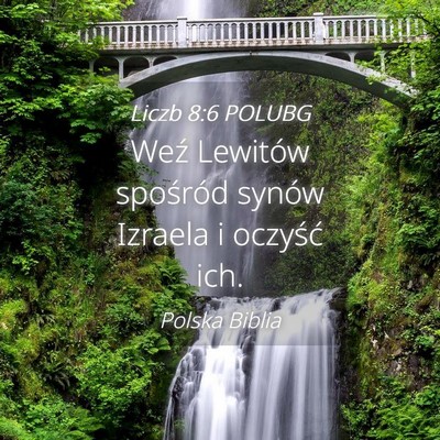 Picture 04 - Liczb 8:6 POLUBG - Weź Lewitów spośród synów Izraela i oczyść - Bible Verse Picture