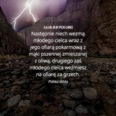 Picture 04 - Liczb 8:8 POLUBG - Następnie niech wezmą młodego cielca wraz z - Bible Verse Picture
