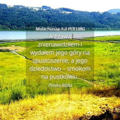Picture 04 - Malachiasza 1:3 POLUBG - A Ezawa znienawidziłem i wydałem jego góry na - Bible Verse Picture