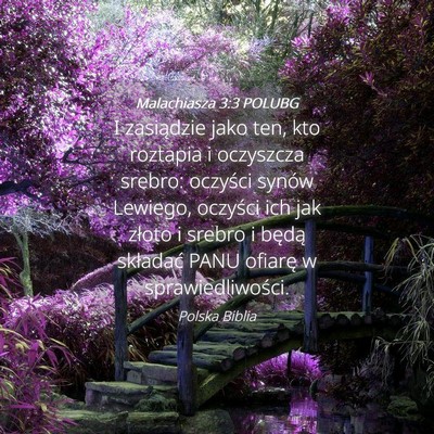 Picture 04 - Malachiasza 3:3 POLUBG - I zasiądzie jako ten, kto roztapia i oczyszcza - Bible Verse Picture
