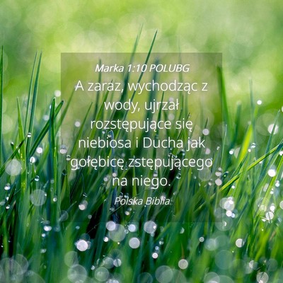 Picture 04 - Marka 1:10 POLUBG - A zaraz, wychodząc z wody, ujrzał - Bible Verse Picture