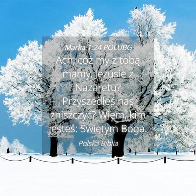 Picture 04 - Marka 1:24 POLUBG - Ach, cóż my z tobą mamy, Jezusie z Nazaretu? - Bible Verse Picture