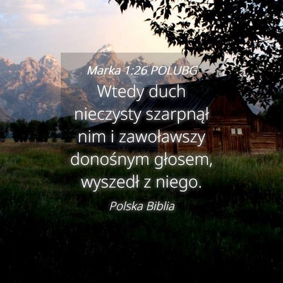 Picture 04 - Marka 1:26 POLUBG - Wtedy duch nieczysty szarpnął nim i zawoławszy - Bible Verse Picture