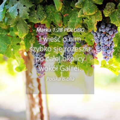 Picture 04 - Marka 1:28 POLUBG - I wieść o nim szybko się rozeszła po całej - Bible Verse Picture