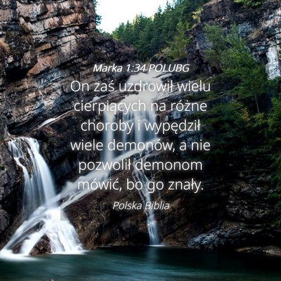 Picture 04 - Marka 1:34 POLUBG - On zaś uzdrowił wielu cierpiących na różne - Bible Verse Picture