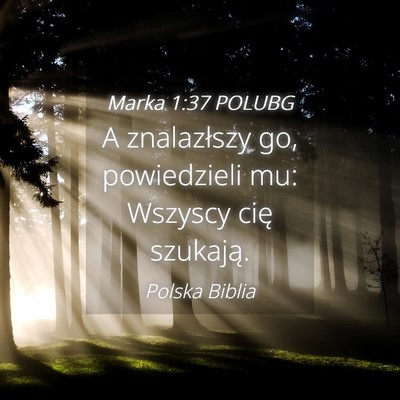 Picture 04 - Marka 1:37 POLUBG - A znalazłszy go, powiedzieli mu: Wszyscy cię - Bible Verse Picture