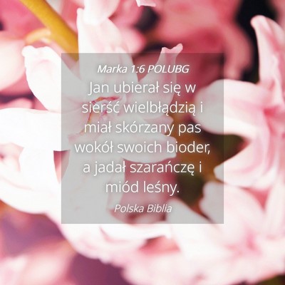 Picture 04 - Marka 1:6 POLUBG - Jan ubierał się w sierść wielbłądzią i - Bible Verse Picture
