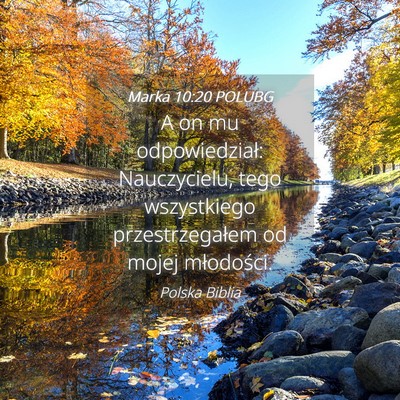 Picture 04 - Marka 10:20 POLUBG - A on mu odpowiedział: Nauczycielu, tego - Bible Verse Picture