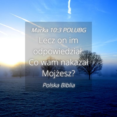 Picture 04 - Marka 10:3 POLUBG - Lecz on im odpowiedział: Co wam nakazał - Bible Verse Picture