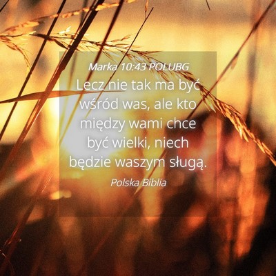 Picture 04 - Marka 10:43 POLUBG - Lecz nie tak ma być wśród was, ale kto między - Bible Verse Picture