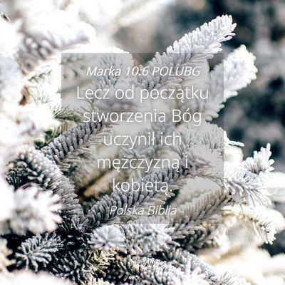 Picture 04 - Marka 10:6 POLUBG - Lecz od początku stworzenia Bóg uczynił ich - Bible Verse Picture