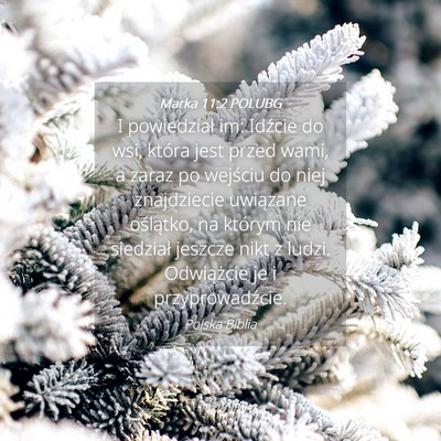 Picture 04 - Marka 11:2 POLUBG - I powiedział im: Idźcie do wsi, która jest - Bible Verse Picture