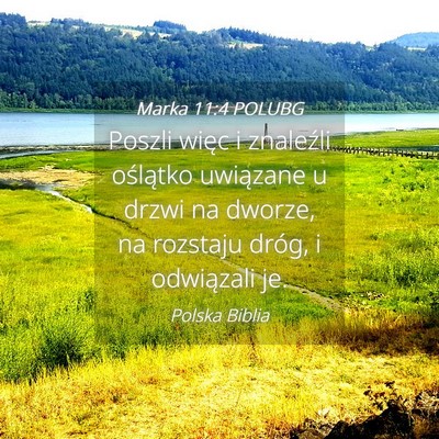 Picture 04 - Marka 11:4 POLUBG - Poszli więc i znaleźli oślątko uwiązane u - Bible Verse Picture
