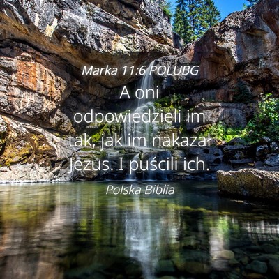 Picture 04 - Marka 11:6 POLUBG - A oni odpowiedzieli im tak, jak im nakazał - Bible Verse Picture