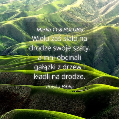 Picture 04 - Marka 11:8 POLUBG - Wielu zaś słało na drodze swoje szaty, a inni - Bible Verse Picture