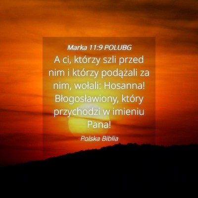 Picture 04 - Marka 11:9 POLUBG - A ci, którzy szli przed nim i którzy podążali - Bible Verse Picture