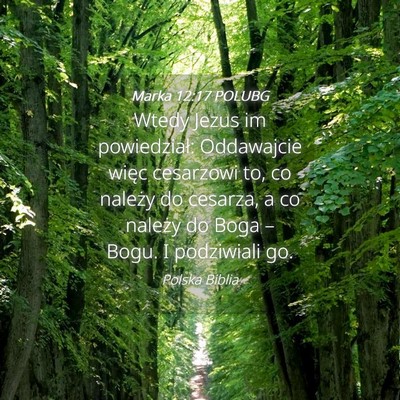 Picture 04 - Marka 12:17 POLUBG - Wtedy Jezus im powiedział: Oddawajcie więc - Bible Verse Picture