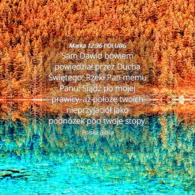Picture 04 - Marka 12:36 POLUBG - Sam Dawid bowiem powiedział przez Ducha - Bible Verse Picture
